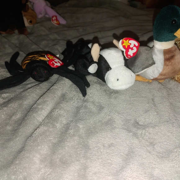 Ty Beanie Babies - Picture 6 of 16